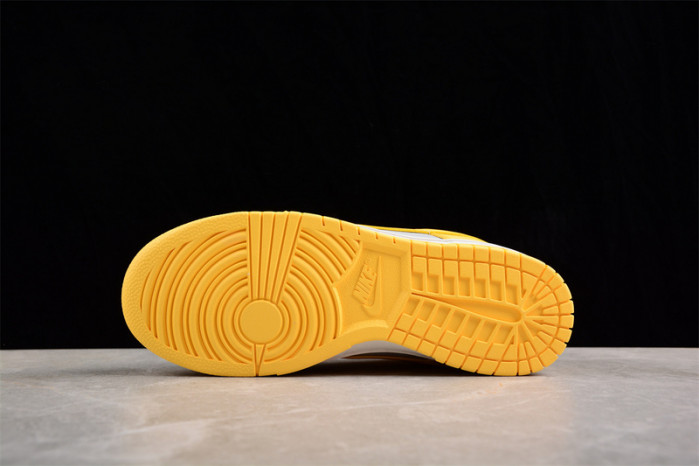 nike sb dunk low  dd1503-002