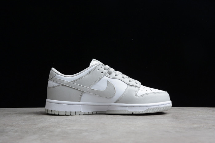 nike dunk low retro dd1391-103