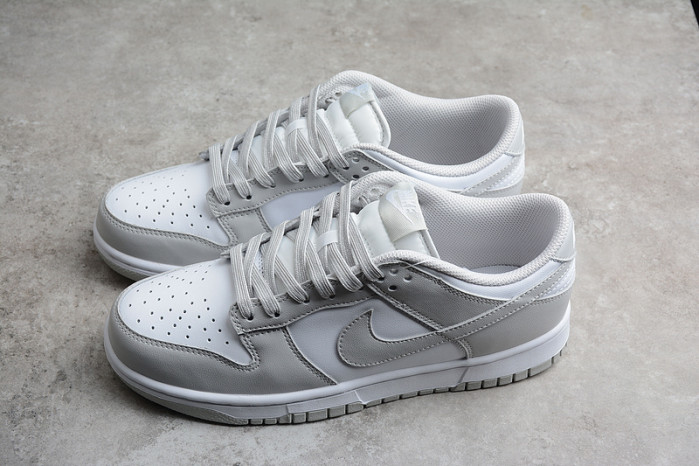 nike dunk low retro dd1391-103