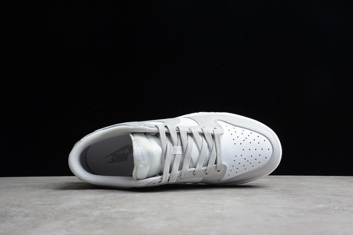 nike dunk low retro dd1391-103