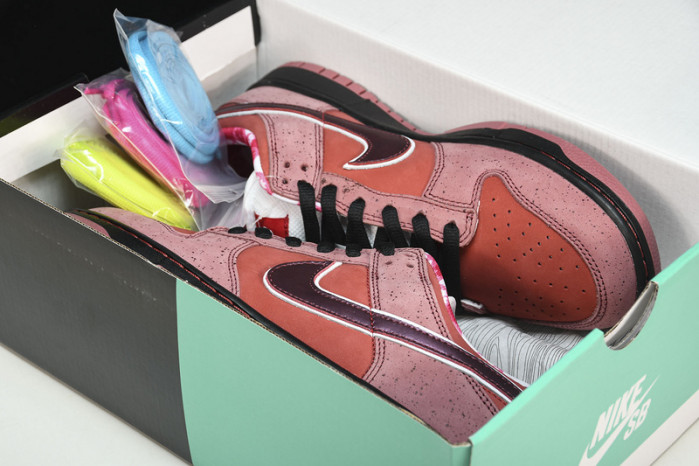 nike sb dunk low red lobster 313170-661