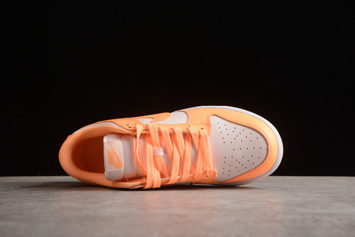 nike sb dunk low  dd1503-801