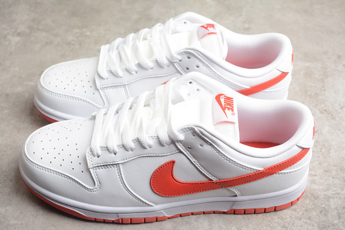 nike sb dunk low dv0831-103