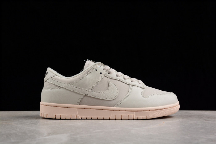 nike sb dunk low dz2538-100