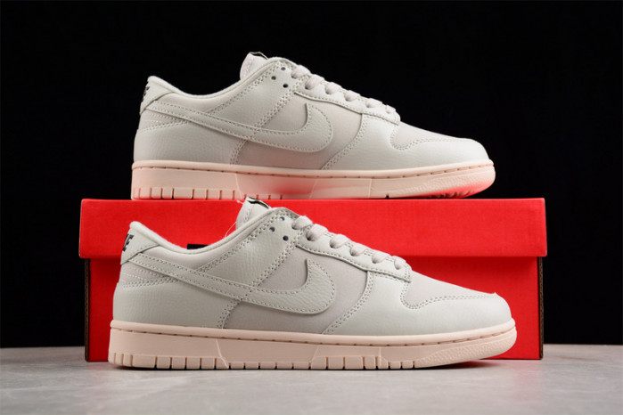 nike sb dunk low dz2538-100