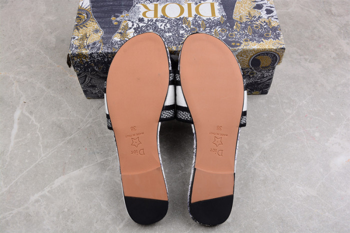 D*or slides ds-001