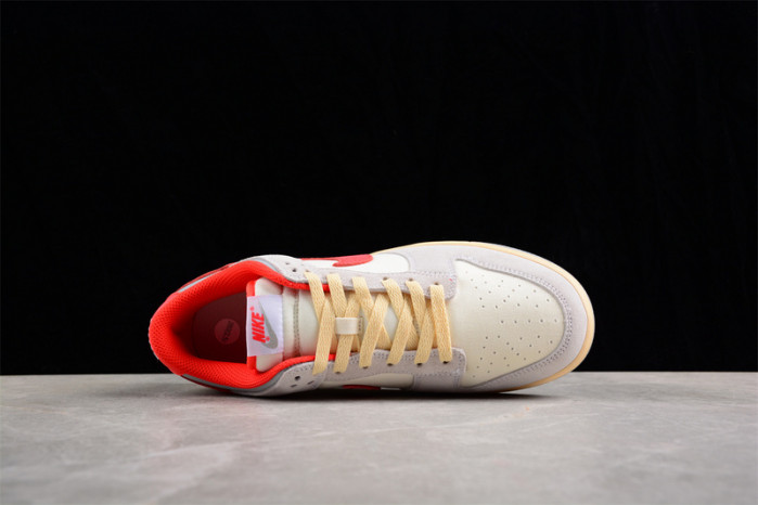 nike sb dunk low fj5429-133