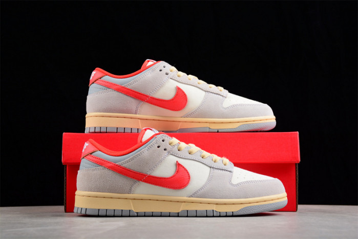 nike sb dunk low fj5429-133