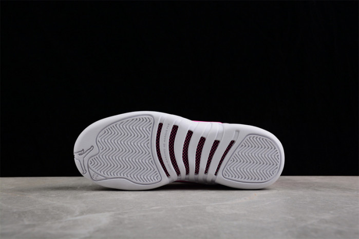 air jordan 12  510815-101